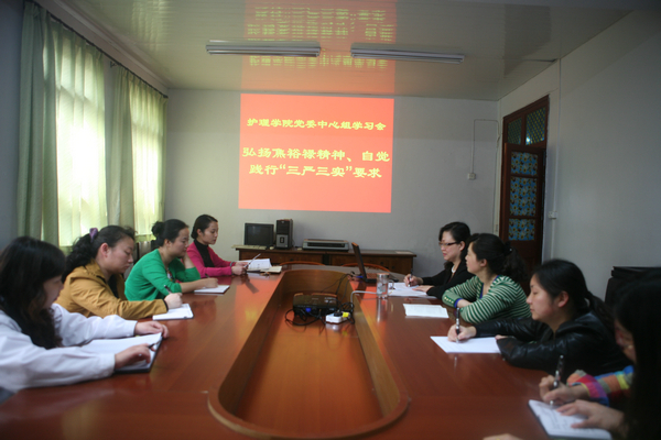 护理学院党委中心组集中学习习近平总书记兰考讲话精神